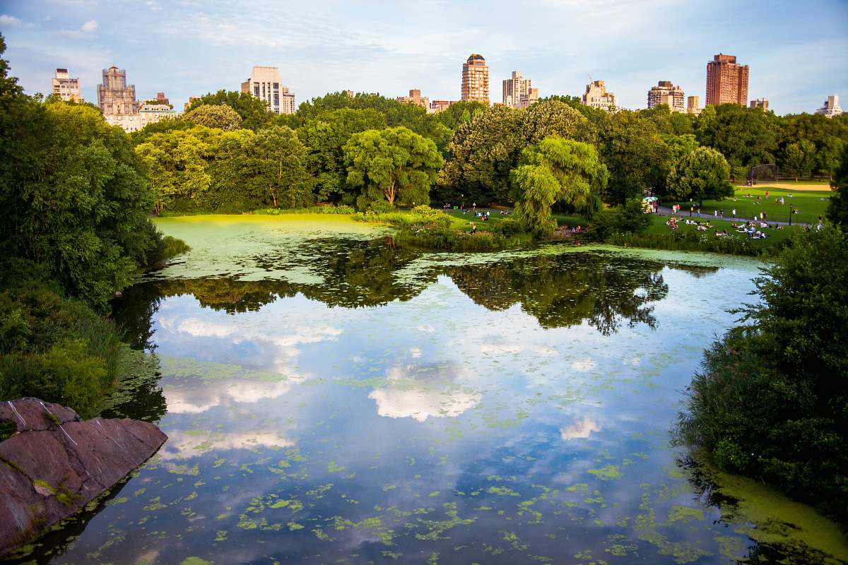 new york green trees near body of water outdoors